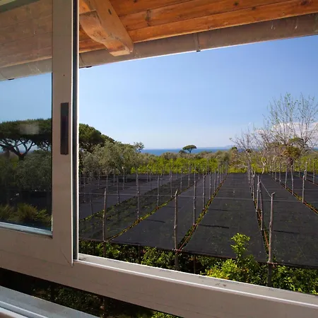 Yourhome - Jolly Pini Sant'Agnello
